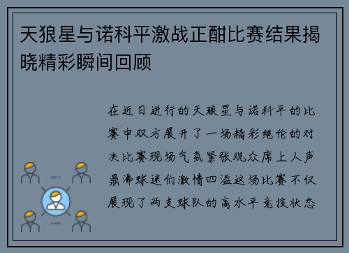 天狼星与诺科平激战正酣比赛结果揭晓精彩瞬间回顾